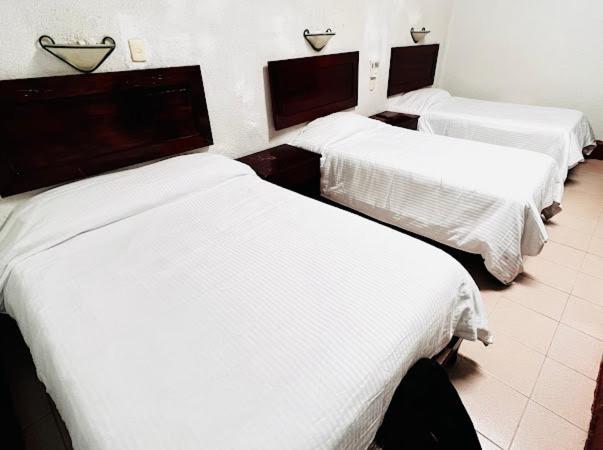 Hotel Nueva Antequera オアハカ州 エクステリア 写真